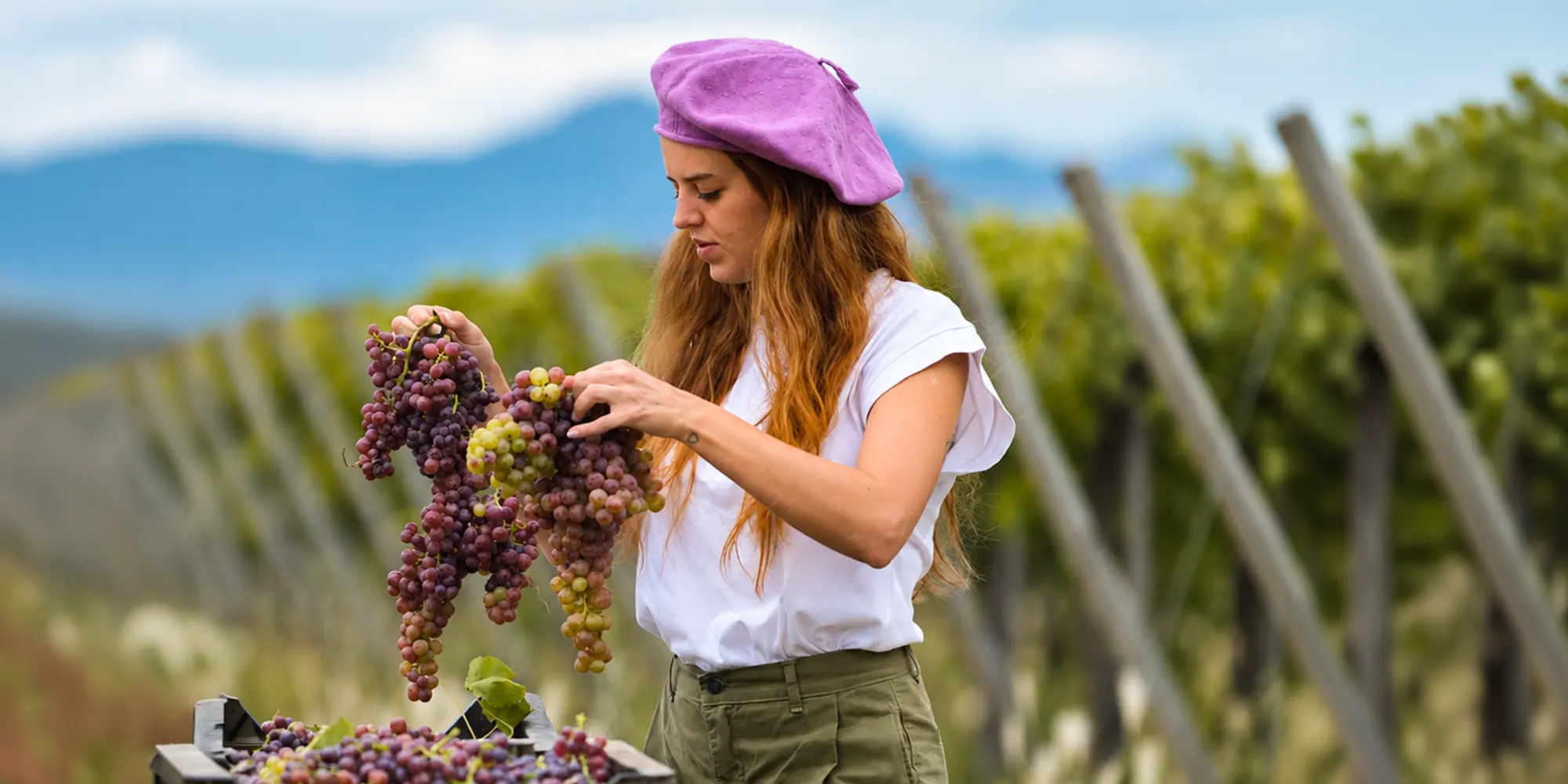 Bodega La Macarena