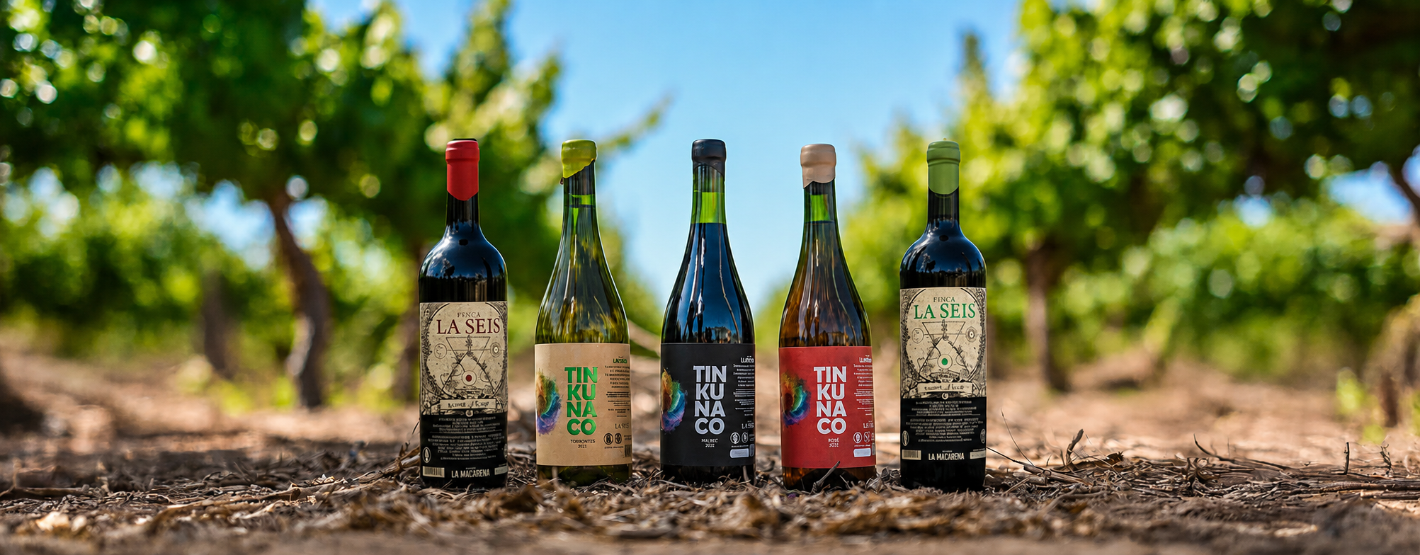 Nuestros vinos en el viñedo