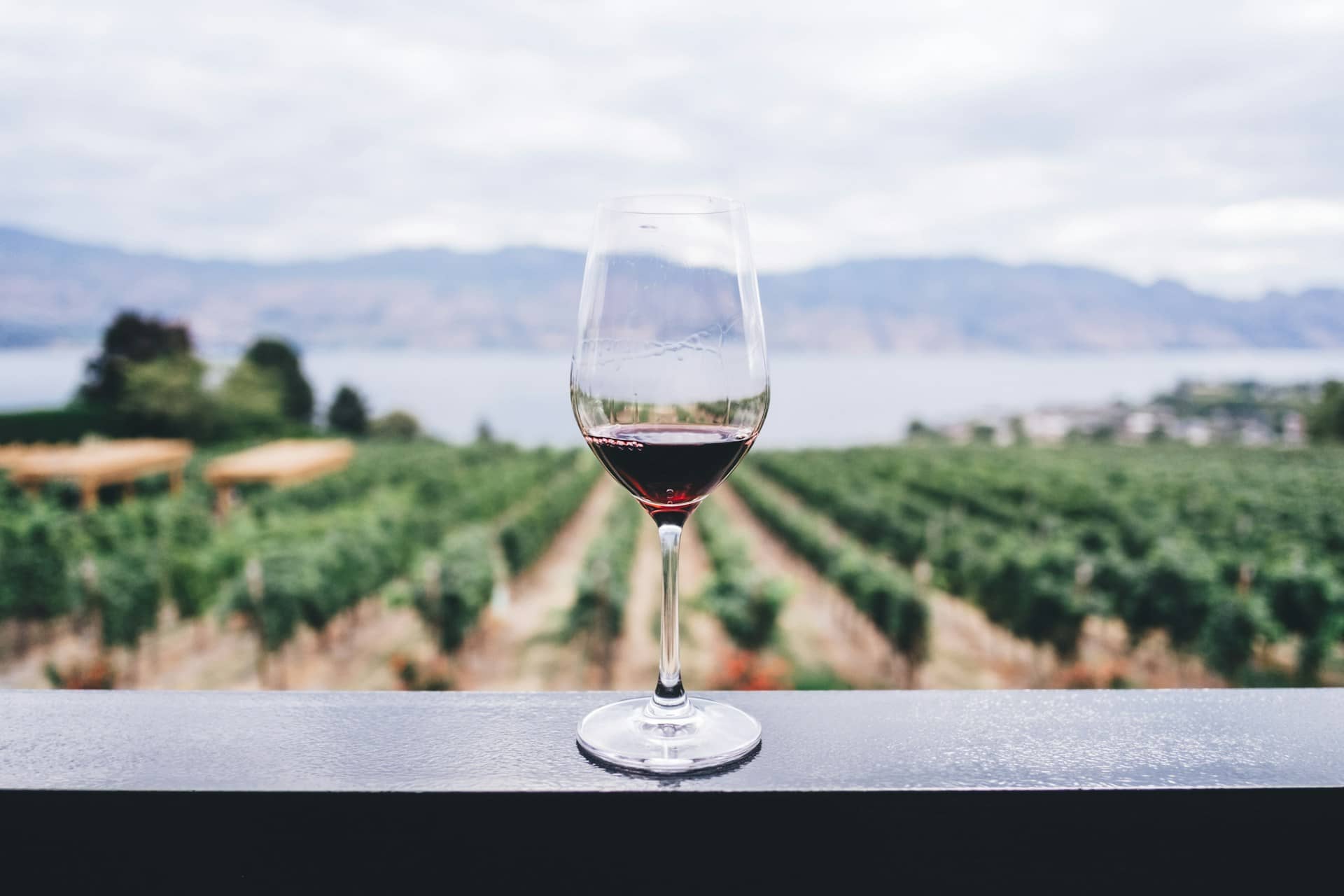 Más allá de Mendoza: El despertar enoturístico de La Rioja