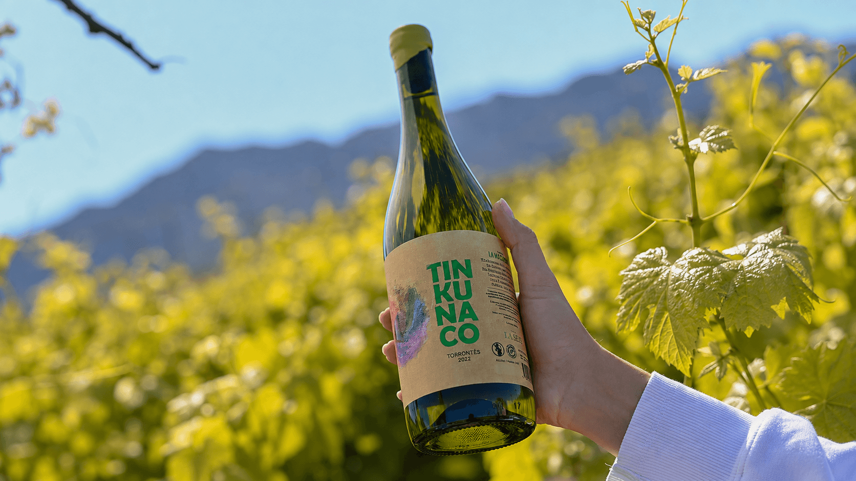 Tinkunaco Torrontés: Tradición riojana con mirada de mujer